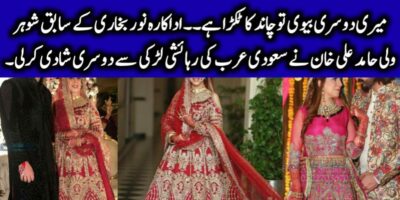 Singer Wali Hamid Ali Khan’s Wedding Pictures