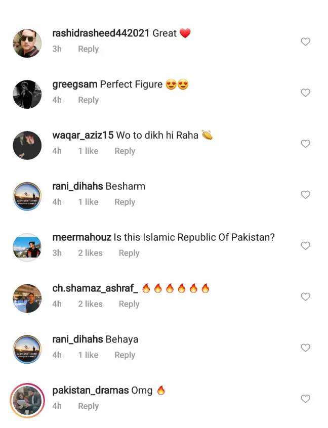 Pubilc Reaction on Amna Ilyas Hot Pictures