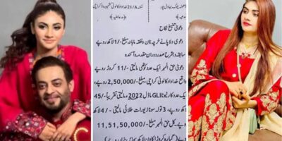 Aamir Liaquat Hussain Third Wife Syeda Dania Shah Filed for Divorce