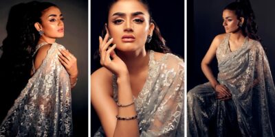 Hira Mani Blazes the Scene in an Elegant Silver Saree